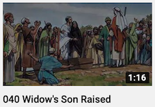 040 - Widow's
                        Son Raised