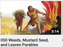 050 - Weeds,
                        Mustard Seed, and Leaven Parables