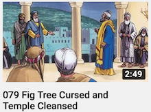 079 - Fig
                        Tree Cursed and Temple Cleansed
