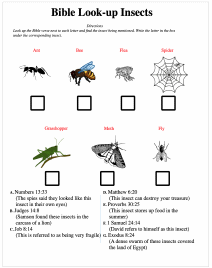 Insects
                          Look Up Bible Passages Worksheet