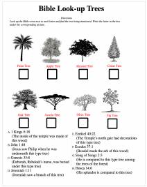 Trees Look
                          Up Bible Passages Worksheet
